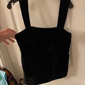 Anthro pilcro velvet top